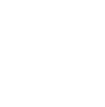 Brasão IBRCN